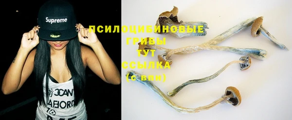ECSTASY Семёнов