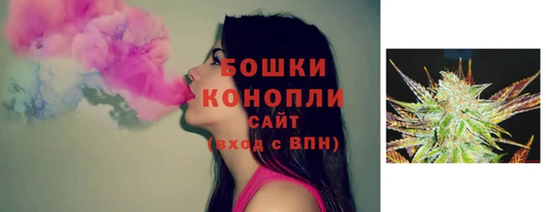 амф Семилуки