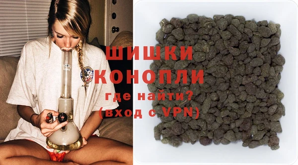 PSILOCYBIN Волосово